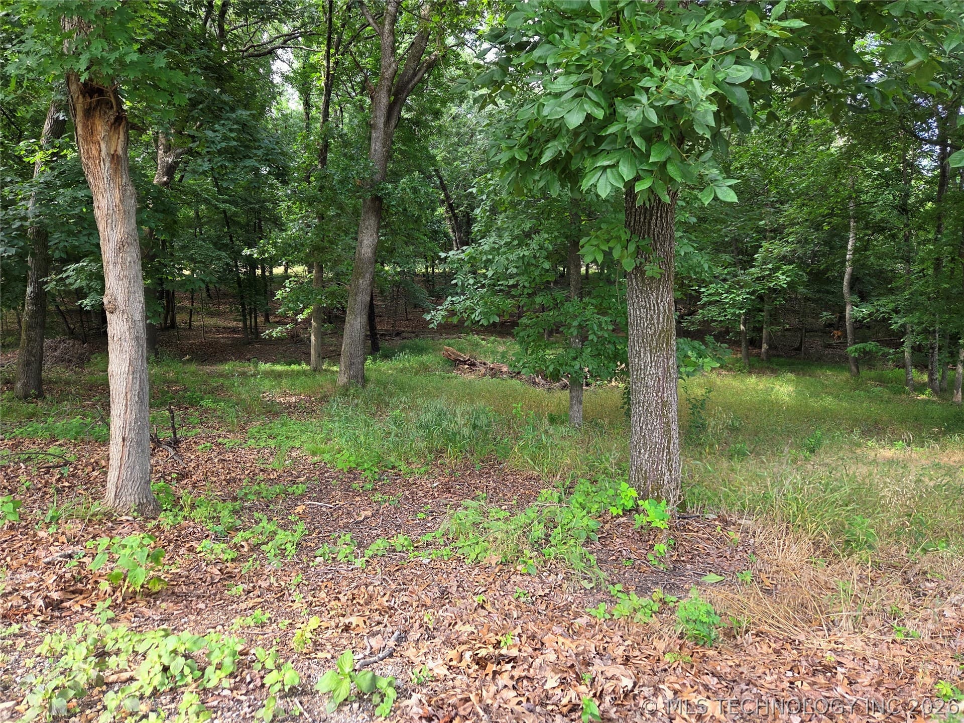 Eagles Nest Drive, photo 1 of 8