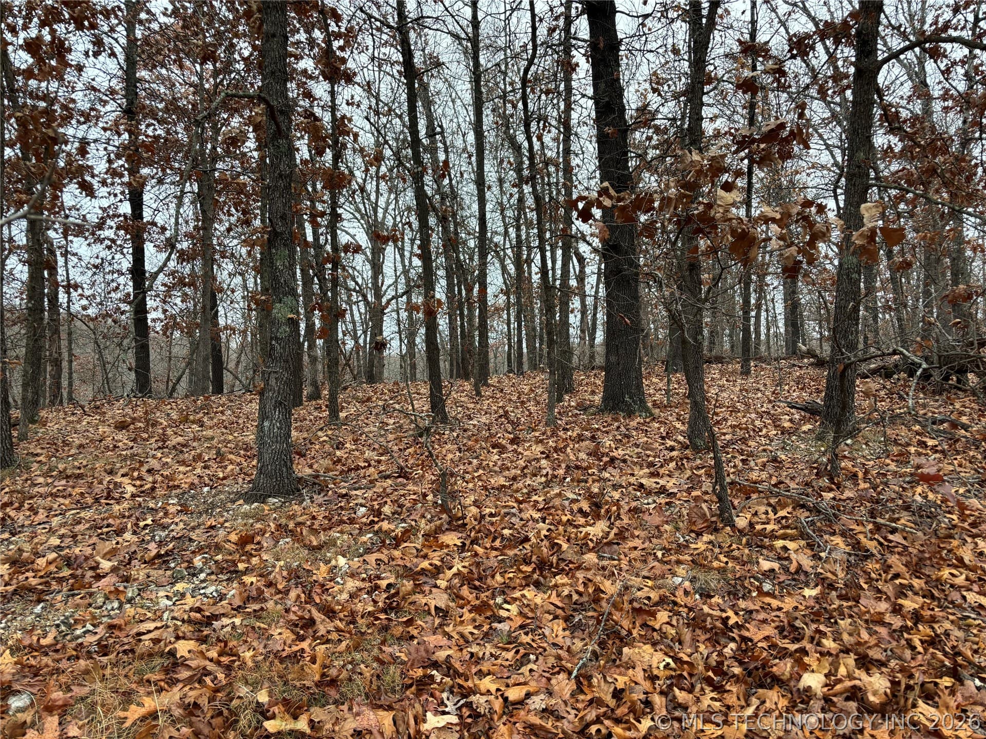 Acorn Ridge, photo 1 of 8